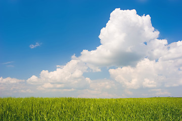 Image showing Green Landscape