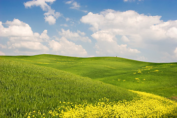 Image showing Flowered Landscape