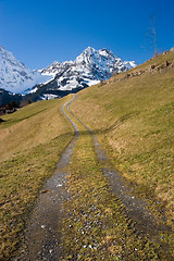 Image showing Mountain Path