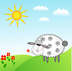 Image showing sheep background