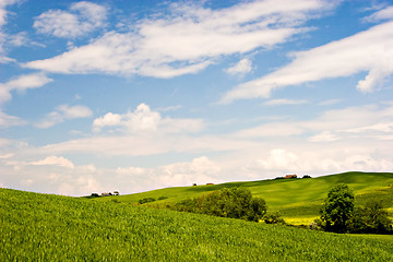 Image showing Landscape