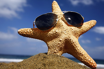 Image showing Beach Starfish with Shades