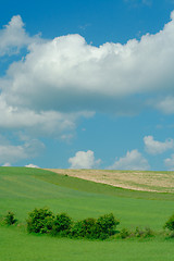 Image showing spring landscape