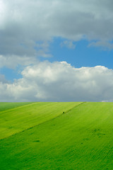 Image showing green fields