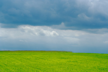 Image showing plain green field