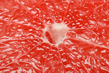 Image showing red grapefruit