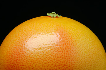 Image showing red grapefruit