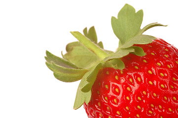 Image showing Strawberry