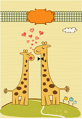 Image showing Funny giraffe couple in love