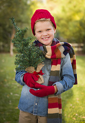 Image showing Young Boy Wearing Holiday Clothing Holding Small Christmas Tree 
