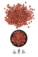 Image showing Jujube Seed