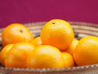 Image showing Clementines