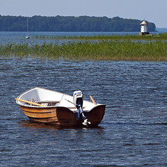 Image showing Summer landscape