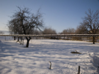 Image showing Wire crystals