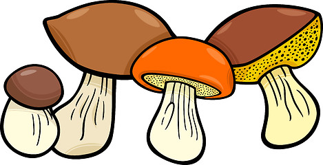 Image showing mushrooms food objects group