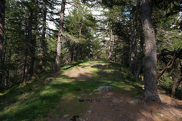 Image showing Hiking in natural park in Italy