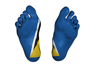 Image showing Feet with flag