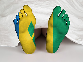 Image showing Feet with flag