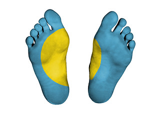 Image showing Feet with flag