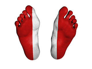 Image showing Feet with flag