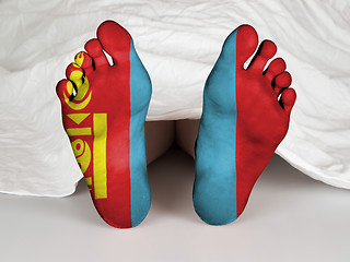 Image showing Feet with flag