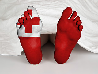 Image showing Feet with flag