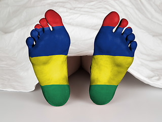 Image showing Feet with flag