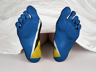 Image showing Feet with flag