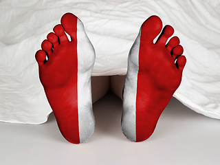 Image showing Feet with flag