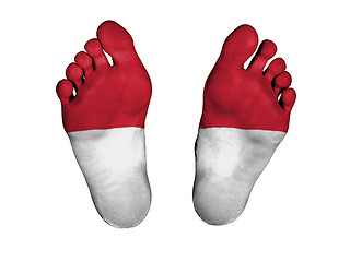 Image showing Feet with flag