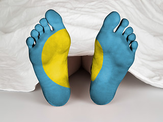 Image showing Feet with flag