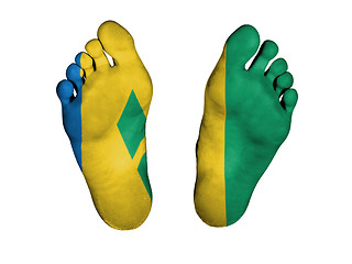 Image showing Feet with flag