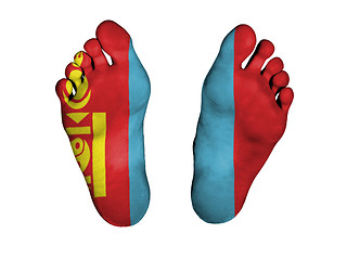 Image showing Feet with flag