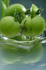 Image showing green tomatoes