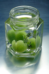 Image showing green tomatoes