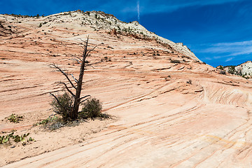 Image showing Zion National Park