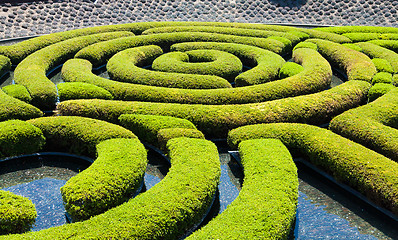 Image showing Garden Maze