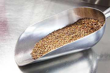 Image showing Beer Malt