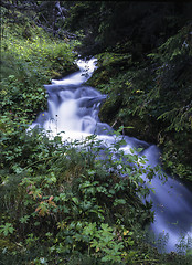 Image showing Mountain stream 