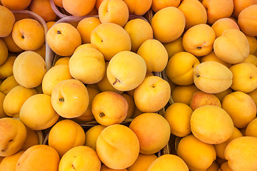 Image showing Fresh natural apricots