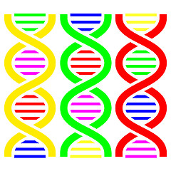 Image showing DNA Symbols . Vector illustration.