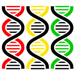 Image showing DNA Symbols . Vector illustration.