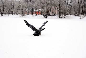 Image showing Winter lake with a wrapped bird