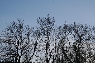 Image showing Autumn sky