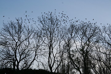 Image showing Autumn sky