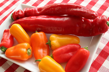 Image showing Different kind of paprika