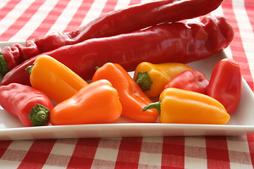 Image showing Different kind of paprika