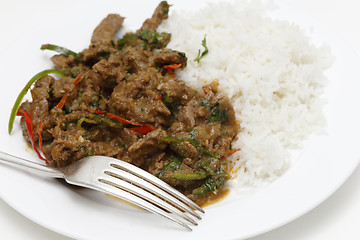 Image showing Spiced lamb curry meal with fork