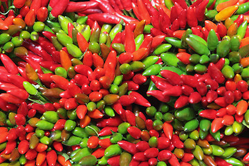 Image showing Chilli pepper abstract