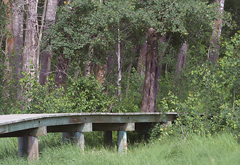 Image showing wooden walkway